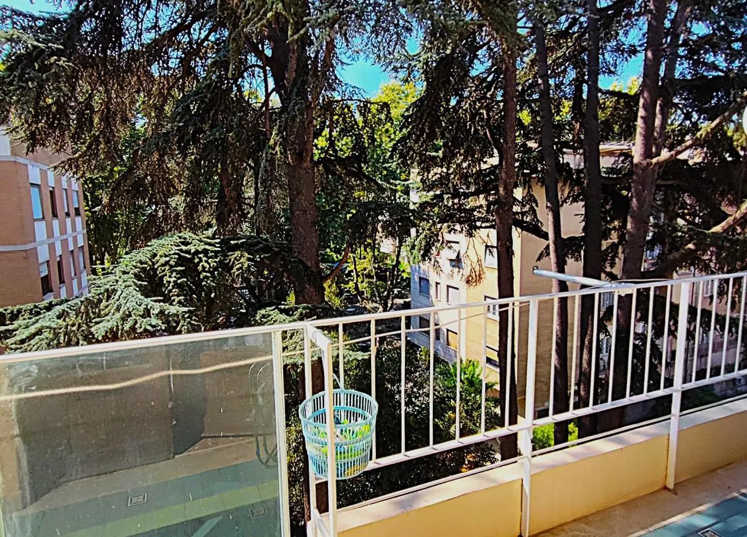 Hotel Il Cavaliere Dell'Eur Roma Affittacamere